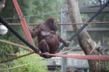福州动物园：让你体验与动物亲密接触的欢乐时光